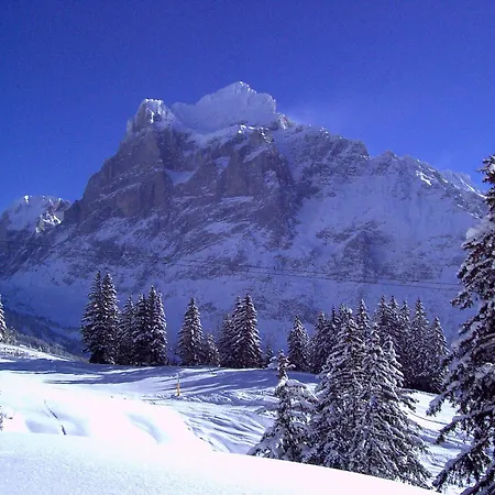 بيت ريفي ألتي بوست 3*