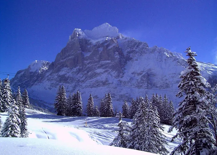 Mini-hôtel Alte Post 3*